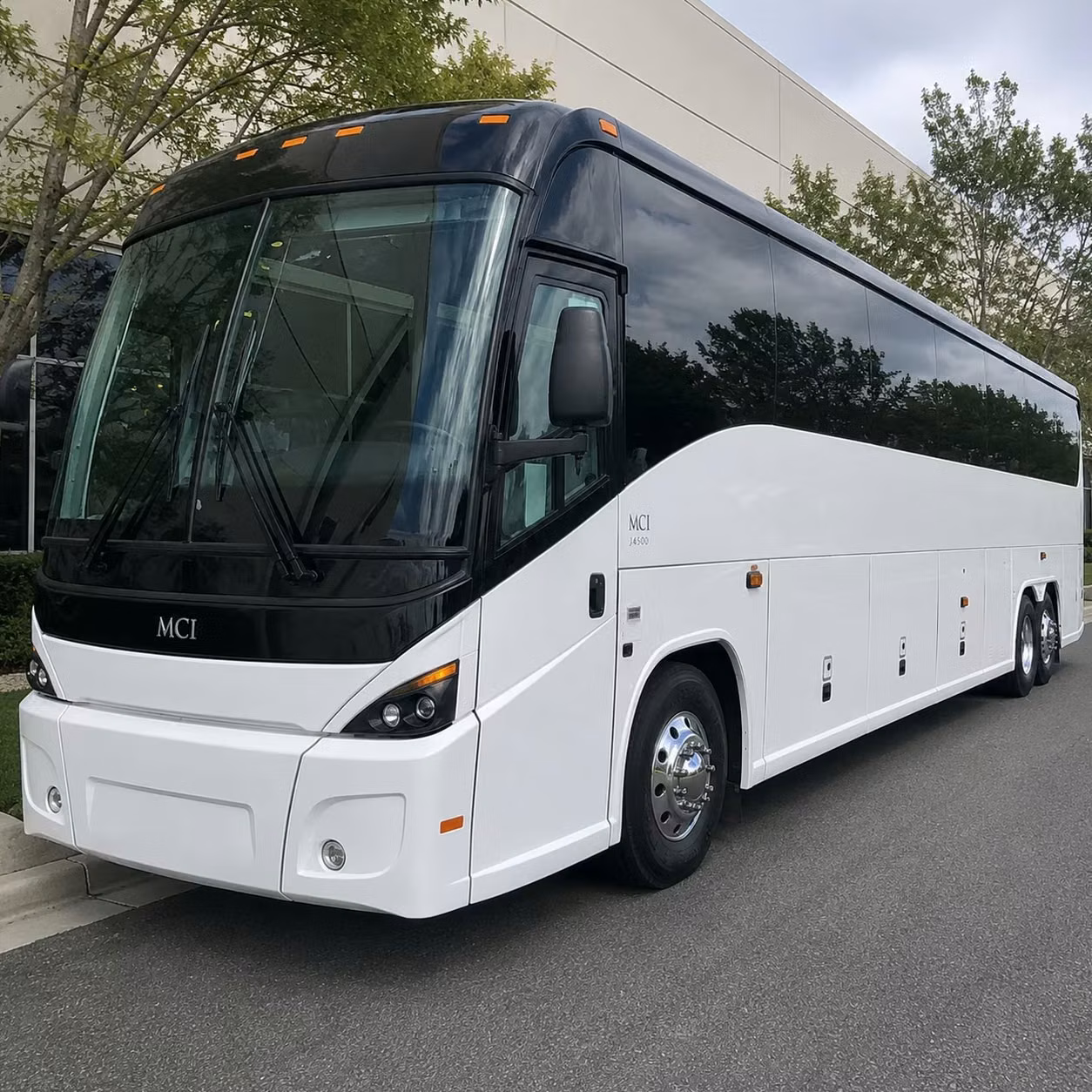 charter buses for san antonio school field trips to the doseum and natural bridge caverns